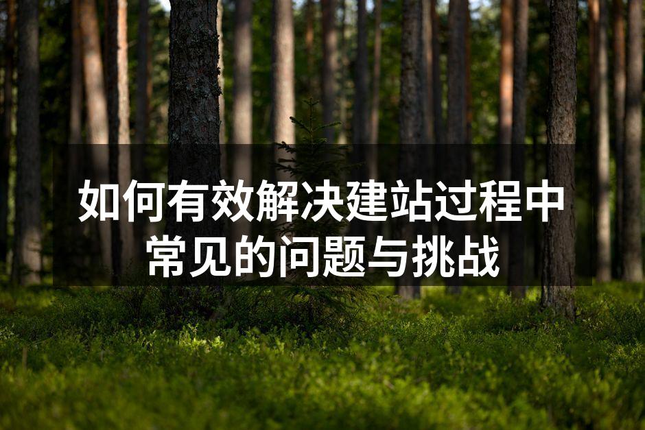 网站设计的最佳实践