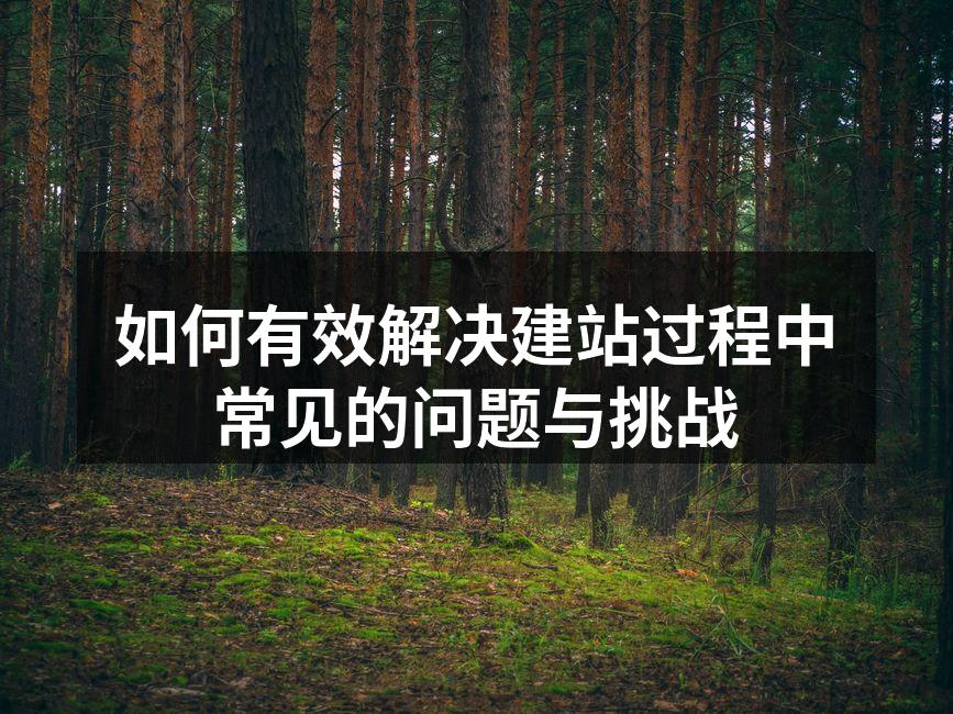 如何有效解决建站过程中常见的问题与挑战